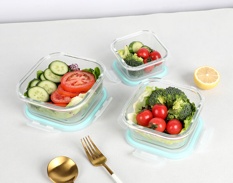 What are the Demands for Tempered Glass Lunch Boxes in Daily Life?cid=3