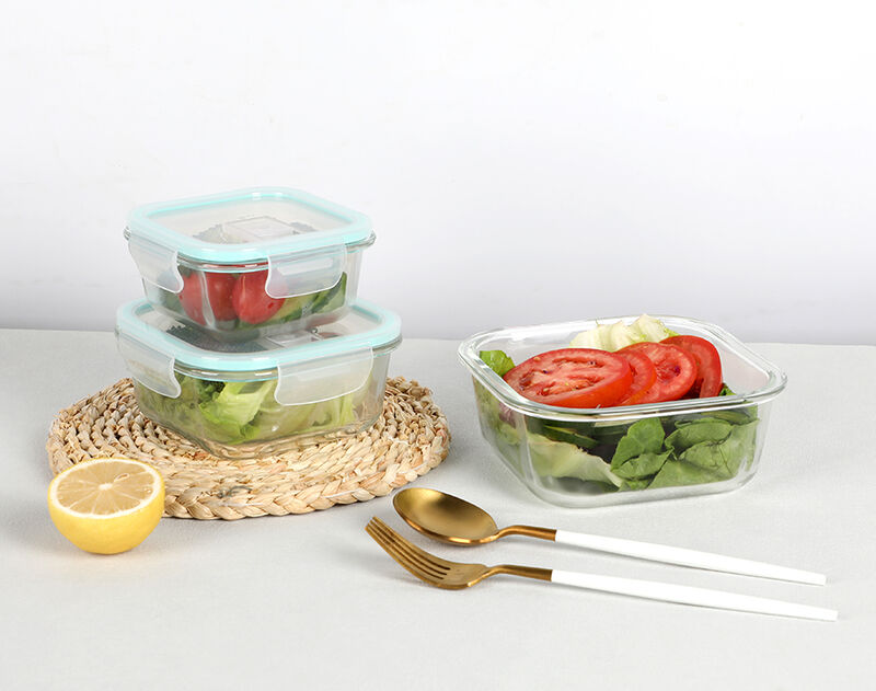 What are the Demands for Tempered Glass Lunch Boxes in Daily Life?cid=3