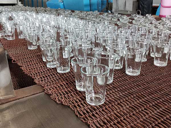 producer glass cups  for South Africa chain store